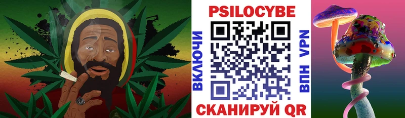 Галлюциногенные грибы Psilocybine cubensis  Кизляр 